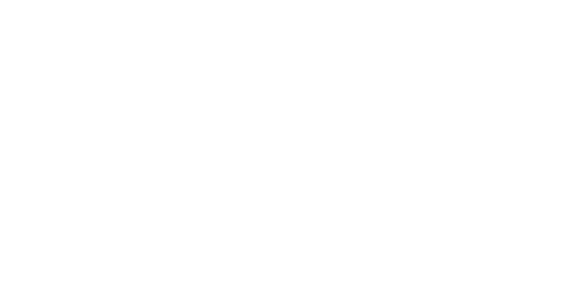 Chief DIgital Executive Exchange