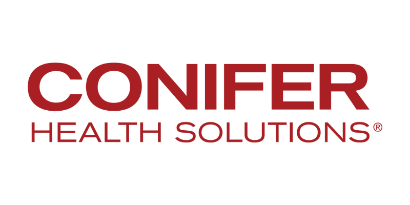 Conifer
