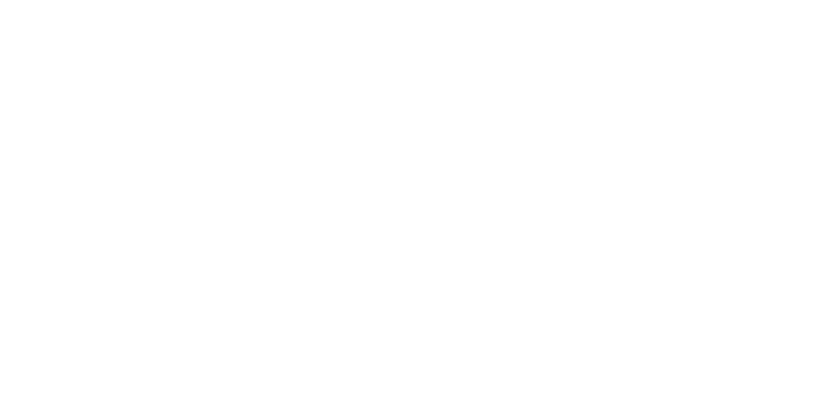 CEO Exchange